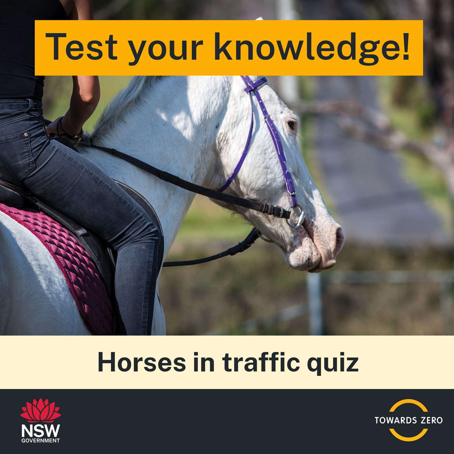 Horses in traffic quiz